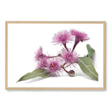 Native Gum Wildflower II-The Paper Tree-australian native,floral,flower,flowers,gum leaves,gum tree,native flowers,portrait,premium art print,purple,wall art,Wall_Art,Wall_Art_Prints,wild flowers