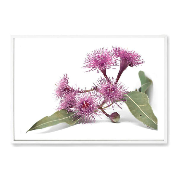 Native Gum Wildflower II-The Paper Tree-australian native,floral,flower,flowers,gum leaves,gum tree,native flowers,portrait,premium art print,purple,wall art,Wall_Art,Wall_Art_Prints,wild flowers