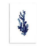 Navy Blue Coral | Hamptons-The Paper Tree-Art_Prints,Artwork,BEACH,blue,blue coral,coastal,COASTAL ART,coral,Designer,HAMPTONS,navy,portrait,premium art print,wall art,Wall_Art,Wall_Art_Prints