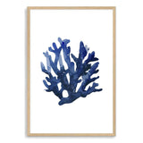 Navy Blue Coral II | Hamptons-The Paper Tree-Art_Prints,Artwork,BEACH,blue,blue coral,coastal,COASTAL ART,coral,Designer,HAMPTONS,navy,portrait,premium art print,wall art,Wall_Art,Wall_Art_Prints