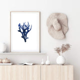 Navy Blue Coral III | Hamptons-The Paper Tree-Art_Prints,Artwork,BEACH,blue,blue coral,coastal,COASTAL ART,coral,Designer,HAMPTONS,navy,portrait,premium art print,wall art,Wall_Art,Wall_Art_Prints