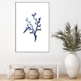 Navy Blue Coral IIIIII | Hamptons-The Paper Tree-Art_Prints,Artwork,BEACH,blue,blue coral,coastal,COASTAL ART,coral,Designer,HAMPTONS,navy,portrait,premium art print,wall art,Wall_Art,Wall_Art_Prints