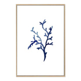 Navy Blue Coral IIIIII | Hamptons-The Paper Tree-Art_Prints,Artwork,BEACH,blue,blue coral,coastal,COASTAL ART,coral,Designer,HAMPTONS,navy,portrait,premium art print,wall art,Wall_Art,Wall_Art_Prints