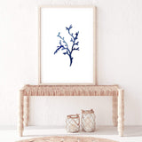 Navy Blue Coral IIIIII | Hamptons-The Paper Tree-Art_Prints,Artwork,BEACH,blue,blue coral,coastal,COASTAL ART,coral,Designer,HAMPTONS,navy,portrait,premium art print,wall art,Wall_Art,Wall_Art_Prints