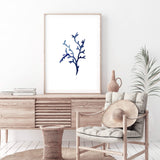 Navy Blue Coral IIIIII | Hamptons-The Paper Tree-Art_Prints,Artwork,BEACH,blue,blue coral,coastal,COASTAL ART,coral,Designer,HAMPTONS,navy,portrait,premium art print,wall art,Wall_Art,Wall_Art_Prints