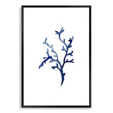 Navy Blue Coral IIIIII | Hamptons-The Paper Tree-Art_Prints,Artwork,BEACH,blue,blue coral,coastal,COASTAL ART,coral,Designer,HAMPTONS,navy,portrait,premium art print,wall art,Wall_Art,Wall_Art_Prints