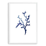 Navy Blue Coral IIIIII | Hamptons-The Paper Tree-Art_Prints,Artwork,BEACH,blue,blue coral,coastal,COASTAL ART,coral,Designer,HAMPTONS,navy,portrait,premium art print,wall art,Wall_Art,Wall_Art_Prints