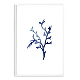 Navy Blue Coral IIIIII | Hamptons-The Paper Tree-Art_Prints,Artwork,BEACH,blue,blue coral,coastal,COASTAL ART,coral,Designer,HAMPTONS,navy,portrait,premium art print,wall art,Wall_Art,Wall_Art_Prints