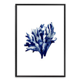 Navy Blue Coral IIII | Hamptons-The Paper Tree-Art_Prints,Artwork,BEACH,blue,blue coral,coastal,COASTAL ART,coral,Designer,HAMPTONS,navy,portrait,premium art print,wall art,Wall_Art,Wall_Art_Prints