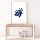 Navy Blue Coral IIII | Hamptons-The Paper Tree-Art_Prints,Artwork,BEACH,blue,blue coral,coastal,COASTAL ART,coral,Designer,HAMPTONS,navy,portrait,premium art print,wall art,Wall_Art,Wall_Art_Prints