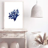 Navy Blue Coral IIII | Hamptons-The Paper Tree-Art_Prints,Artwork,BEACH,blue,blue coral,coastal,COASTAL ART,coral,Designer,HAMPTONS,navy,portrait,premium art print,wall art,Wall_Art,Wall_Art_Prints