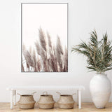 Pampas Grass II-The Paper Tree-beach,beige,boho,botanical,coastal,grass,hamptons,landscape,muted tone,nature,neutral,pampas,pampas grass,premium art print,tall grass,wall art,Wall_Art,Wall_Art_Prints,white