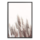 Pampas Grass II-The Paper Tree-beach,beige,boho,botanical,coastal,grass,hamptons,landscape,muted tone,nature,neutral,pampas,pampas grass,premium art print,tall grass,wall art,Wall_Art,Wall_Art_Prints,white