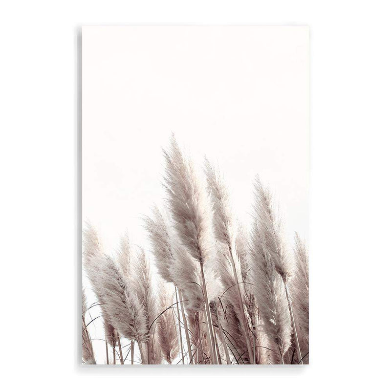 Pampas Grass II-The Paper Tree-beach,beige,boho,botanical,coastal,grass,hamptons,landscape,muted tone,nature,neutral,pampas,pampas grass,premium art print,tall grass,wall art,Wall_Art,Wall_Art_Prints,white