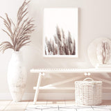 Pampas Grass II-The Paper Tree-beach,beige,boho,botanical,coastal,grass,hamptons,landscape,muted tone,nature,neutral,pampas,pampas grass,premium art print,tall grass,wall art,Wall_Art,Wall_Art_Prints,white