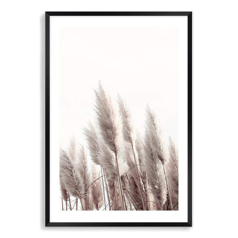 Pampas Grass II-The Paper Tree-beach,beige,boho,botanical,coastal,grass,hamptons,landscape,muted tone,nature,neutral,pampas,pampas grass,premium art print,tall grass,wall art,Wall_Art,Wall_Art_Prints,white