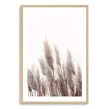 Pampas Grass II-The Paper Tree-beach,beige,boho,botanical,coastal,grass,hamptons,landscape,muted tone,nature,neutral,pampas,pampas grass,premium art print,tall grass,wall art,Wall_Art,Wall_Art_Prints,white