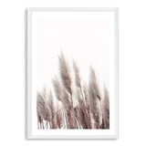 Pampas Grass II-The Paper Tree-beach,beige,boho,botanical,coastal,grass,hamptons,landscape,muted tone,nature,neutral,pampas,pampas grass,premium art print,tall grass,wall art,Wall_Art,Wall_Art_Prints,white