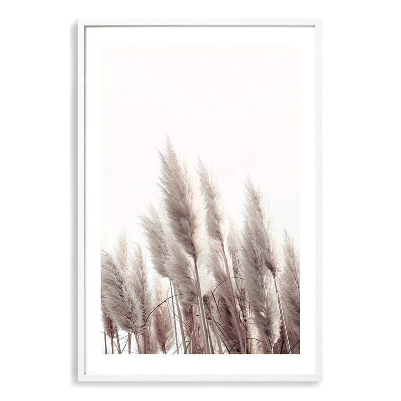 Pampas Grass II-The Paper Tree-beach,beige,boho,botanical,coastal,grass,hamptons,landscape,muted tone,nature,neutral,pampas,pampas grass,premium art print,tall grass,wall art,Wall_Art,Wall_Art_Prints,white