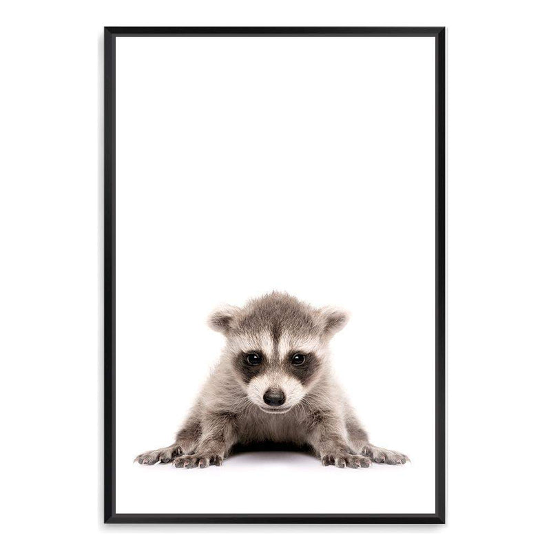 Baby Raccoon-The Paper Tree-animal,Artwork,BABY,BABY ANIMAL,BABY RACCOON,KIDS DECOR,kids room,kids wall art,nursery,NURSERY DECOR,portrait,premium art print,RACCOON,wall art,Wall_Art,Wall_Art_Prints