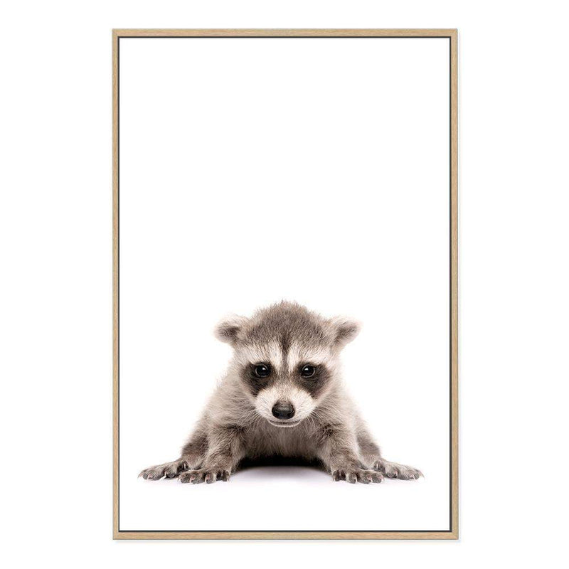 Baby Raccoon-The Paper Tree-animal,Artwork,BABY,BABY ANIMAL,BABY RACCOON,KIDS DECOR,kids room,kids wall art,nursery,NURSERY DECOR,portrait,premium art print,RACCOON,wall art,Wall_Art,Wall_Art_Prints