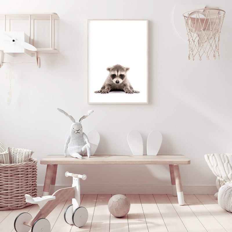 Baby Raccoon-The Paper Tree-animal,Artwork,BABY,BABY ANIMAL,BABY RACCOON,KIDS DECOR,kids room,kids wall art,nursery,NURSERY DECOR,portrait,premium art print,RACCOON,wall art,Wall_Art,Wall_Art_Prints