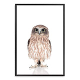 Baby Owl-The Paper Tree-animal,Artwork,BABY,BABY ANIMAL,bird,feathers,KIDS DECOR,kids room,kids wall art,nursery,NURSERY DECOR,owl,portrait,premium art print,wall art,Wall_Art,Wall_Art_Prints