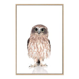 Baby Owl-The Paper Tree-animal,Artwork,BABY,BABY ANIMAL,bird,feathers,KIDS DECOR,kids room,kids wall art,nursery,NURSERY DECOR,owl,portrait,premium art print,wall art,Wall_Art,Wall_Art_Prints