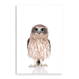 Baby Owl-The Paper Tree-animal,Artwork,BABY,BABY ANIMAL,bird,feathers,KIDS DECOR,kids room,kids wall art,nursery,NURSERY DECOR,owl,portrait,premium art print,wall art,Wall_Art,Wall_Art_Prints