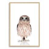 Baby Owl-The Paper Tree-animal,Artwork,BABY,BABY ANIMAL,bird,feathers,KIDS DECOR,kids room,kids wall art,nursery,NURSERY DECOR,owl,portrait,premium art print,wall art,Wall_Art,Wall_Art_Prints