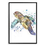 Watercolour Turtle-The Paper Tree-animal,Artwork,blue,coastal,green,hamptons,portrait,premium art print,sea turtle,turtle,wall art,Wall_Art,Wall_Art_Prints,watercolor,Watercolour,watercolour art print,watercolour artwork,watercolour turtle,Watercolour_Animals