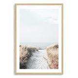 Path to Beach-The Paper Tree-Art_Prints,Artwork,BEACH,beach entrance,beach grass,beach path,beach scene,boho,coastal,COASTAL ART,Designer,golden grass,grass,hamptons,neutral,path to beach,premium art print,surfers,tall grass,wall art,Wall_Art,Wall_Art_Prints