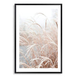 Golden Grass-The Paper Tree-beach,boho,botanical,Coastal,grass,hamptons,leaf,leaves,Natural,nature,neutral,pampas grass,portrait,premium art print,reeds,tall grass,wall art,Wall_Art