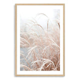 Golden Grass-The Paper Tree-beach,boho,botanical,Coastal,grass,hamptons,leaf,leaves,Natural,nature,neutral,pampas grass,portrait,premium art print,reeds,tall grass,wall art,Wall_Art