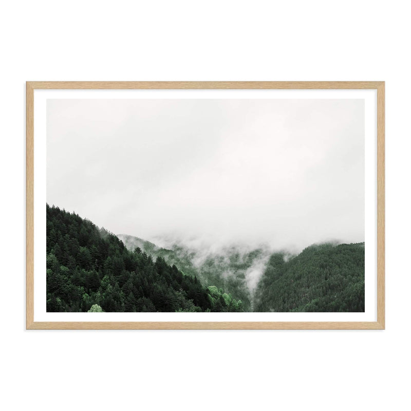 Mountain Mist-The Paper Tree-america,australia,botanical,clouds,enchanting,forest,green,landscape,mist,misty,misty trees,mountain,mountains,nature,pine forest,pine trees,premium art print,tree,trees,wall art,Wall_Art,Wall_Art_Prints