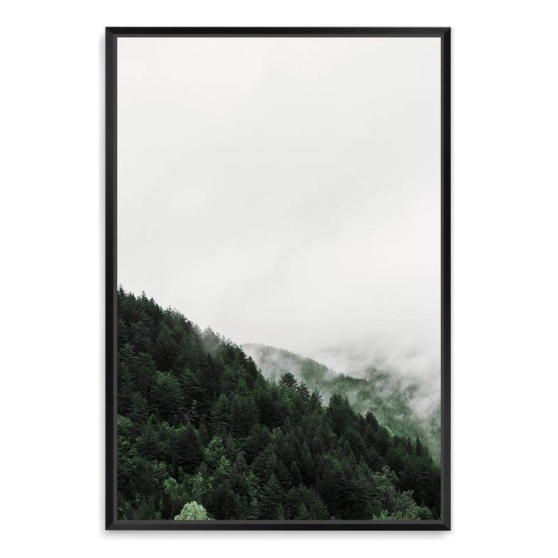 Mountain Pine trees-The Paper Tree-america,australia,botanical,clouds,enchanting,forest,green,mist,misty,misty trees,mountain,mountains,nature,pine forest,pine trees,portrait,premium art print,tree,trees,wall art,Wall_Art,Wall_Art_Prints