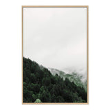 Mountain Pine trees-The Paper Tree-america,australia,botanical,clouds,enchanting,forest,green,mist,misty,misty trees,mountain,mountains,nature,pine forest,pine trees,portrait,premium art print,tree,trees,wall art,Wall_Art,Wall_Art_Prints