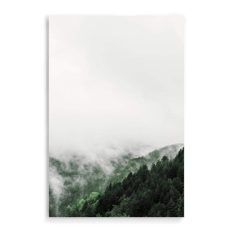 Mountain Pine Forest-The Paper Tree-america,australia,botanical,clouds,enchanting,forest,green,mist,misty,misty trees,mountain,mountains,nature,pine forest,pine trees,portrait,premium art print,tree,trees,wall art,Wall_Art,Wall_Art_Prints