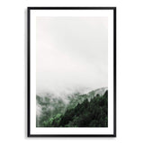 Mountain Pine Forest-The Paper Tree-america,australia,botanical,clouds,enchanting,forest,green,mist,misty,misty trees,mountain,mountains,nature,pine forest,pine trees,portrait,premium art print,tree,trees,wall art,Wall_Art,Wall_Art_Prints