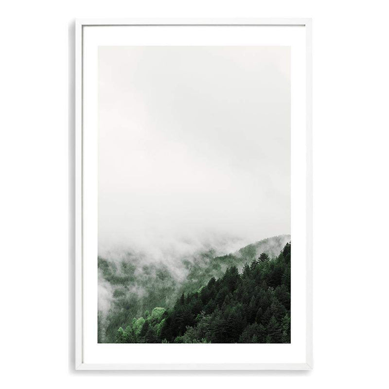 Mountain Pine Forest-The Paper Tree-america,australia,botanical,clouds,enchanting,forest,green,mist,misty,misty trees,mountain,mountains,nature,pine forest,pine trees,portrait,premium art print,tree,trees,wall art,Wall_Art,Wall_Art_Prints