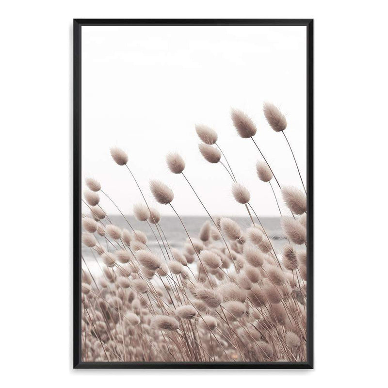 Bunny Tail Grass-The Paper Tree-beach,boho,botanical,bunny tail,Coastal,grass,hamptons,hares tail,lagurus ovatus,leaf,leaves,Muted Tone,Natural,nature,neutral,ocean,pampas grass,portrait,premium art print,reeds,tall grass,wall art,Wall_Art