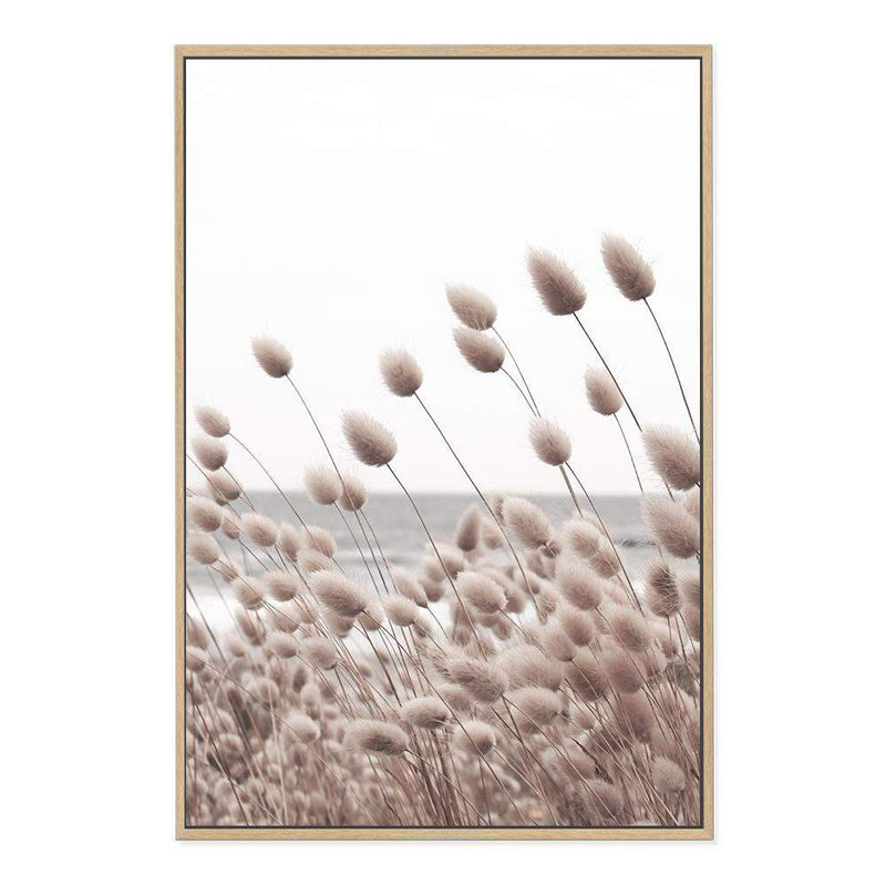 Bunny Tail Grass-The Paper Tree-beach,boho,botanical,bunny tail,Coastal,grass,hamptons,hares tail,lagurus ovatus,leaf,leaves,Muted Tone,Natural,nature,neutral,ocean,pampas grass,portrait,premium art print,reeds,tall grass,wall art,Wall_Art