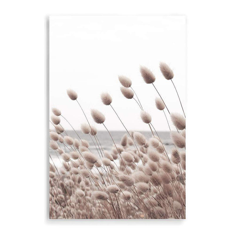 Bunny Tail Grass-The Paper Tree-beach,boho,botanical,bunny tail,Coastal,grass,hamptons,hares tail,lagurus ovatus,leaf,leaves,Muted Tone,Natural,nature,neutral,ocean,pampas grass,portrait,premium art print,reeds,tall grass,wall art,Wall_Art