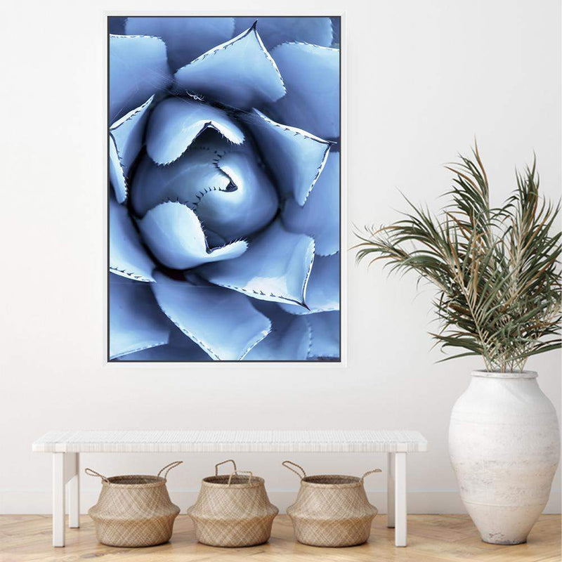 Winter Blue Succulent-The Paper Tree-blue,botanical,cacti,cactus,colourful,portrait,powder blue,premium art print,spider,succulent,vibrant,wall art,Wall_Art,Wall_Art_Prints,web,winter,winter blue