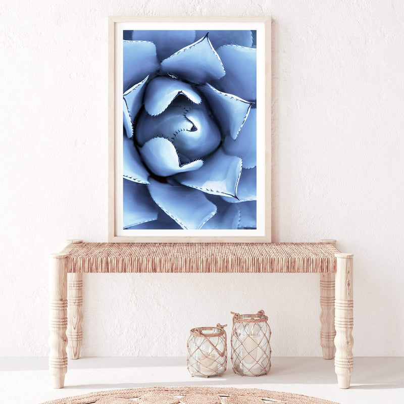 Winter Blue Succulent-The Paper Tree-blue,botanical,cacti,cactus,colourful,portrait,powder blue,premium art print,spider,succulent,vibrant,wall art,Wall_Art,Wall_Art_Prints,web,winter,winter blue