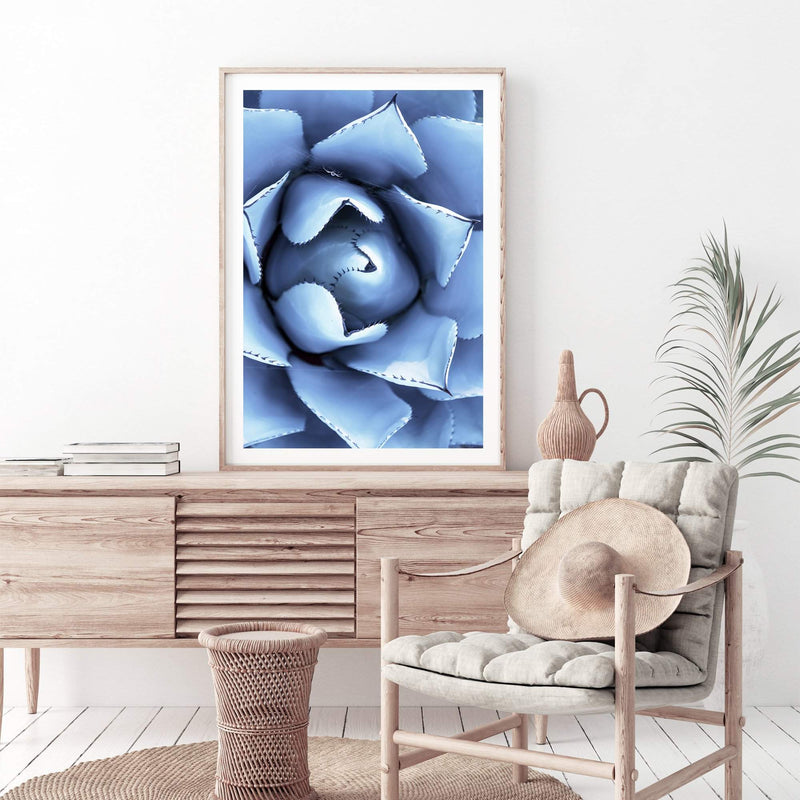 Winter Blue Succulent-The Paper Tree-blue,botanical,cacti,cactus,colourful,portrait,powder blue,premium art print,spider,succulent,vibrant,wall art,Wall_Art,Wall_Art_Prints,web,winter,winter blue