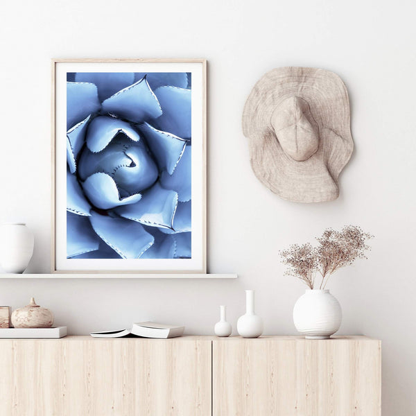 Winter Blue Succulent-The Paper Tree-blue,botanical,cacti,cactus,colourful,portrait,powder blue,premium art print,spider,succulent,vibrant,wall art,Wall_Art,Wall_Art_Prints,web,winter,winter blue