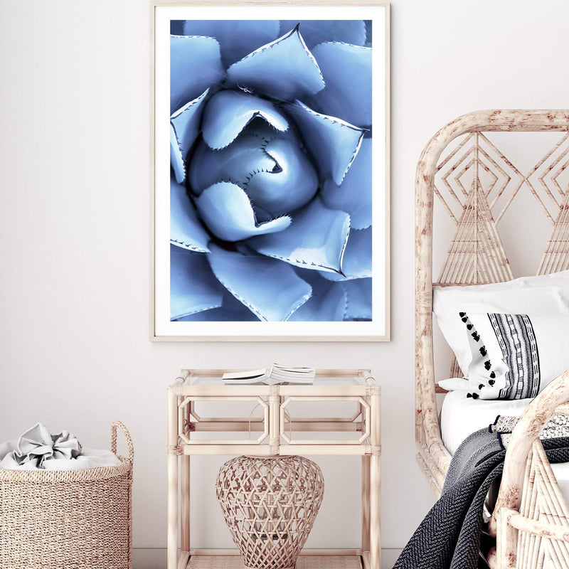 Winter Blue Succulent-The Paper Tree-blue,botanical,cacti,cactus,colourful,portrait,powder blue,premium art print,spider,succulent,vibrant,wall art,Wall_Art,Wall_Art_Prints,web,winter,winter blue