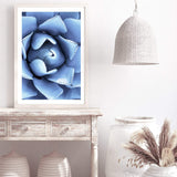 Winter Blue Succulent-The Paper Tree-blue,botanical,cacti,cactus,colourful,portrait,powder blue,premium art print,spider,succulent,vibrant,wall art,Wall_Art,Wall_Art_Prints,web,winter,winter blue