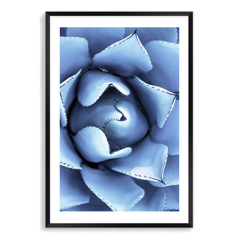 Winter Blue Succulent-The Paper Tree-blue,botanical,cacti,cactus,colourful,portrait,powder blue,premium art print,spider,succulent,vibrant,wall art,Wall_Art,Wall_Art_Prints,web,winter,winter blue